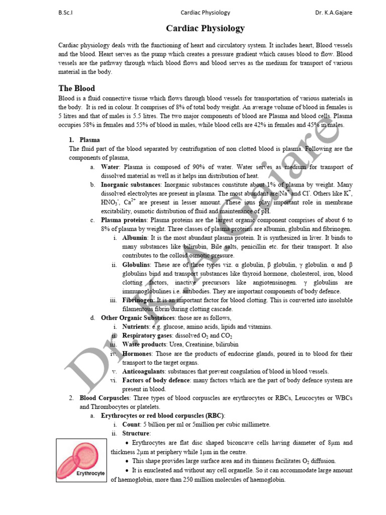 Cardiac Physiology Overview and Blood Composition | PDF | Heart Valve ...