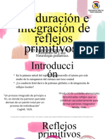 Presentacion Propuesta de Proyecto Creativo Acuarela Profesional Pastel