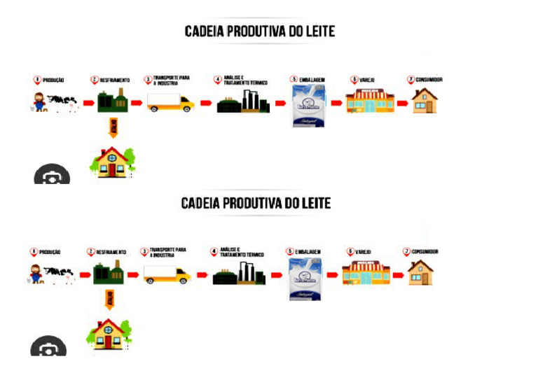 Cadeia Produtiva Do Leite | PDF