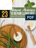 NEW Ebook Top 23 Natural Medicines To Repair Leaky Gut
