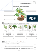 Evaluación 6 Anaya 2º P