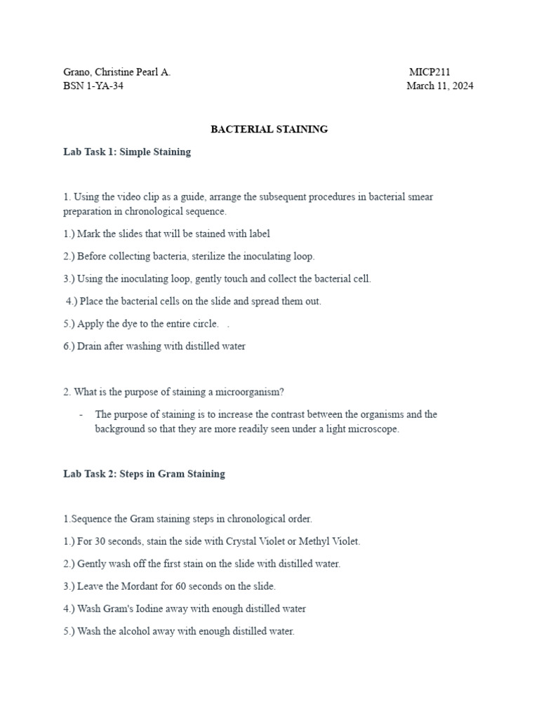 Bacterial Staining Pdf Staining Gram Positive Bacteria