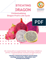 R1 - Dragon Fruits Action Reserach Project Report