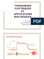 Cours PA Et Èlectro-Magnétisme - Bioph.2021