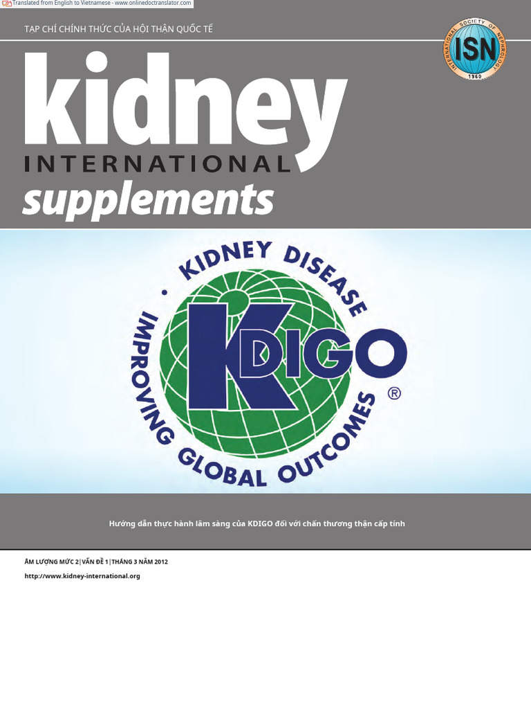 KDIGO 2012 AKI Guideline English - En.vi | PDF