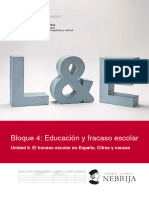 Tema 8. El Fracaso Escolar en España. Cifras y Causas