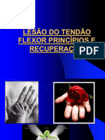 AuladeLesoesdeTendaoFlexora530805