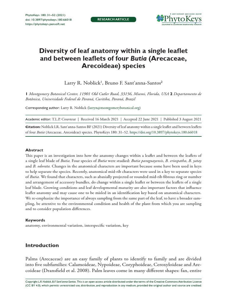 Diversity of Leaf Anatomy Within A Single Leaflet | PDF | Leaf | Plants