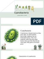Cyanobacteria-WPS Office 120439