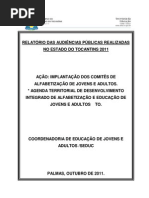 Relatório das Audiências Públicas