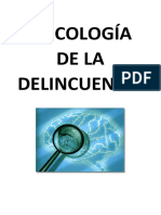 Apuntes Delincuencia Completos