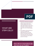 Biology Stem Cells