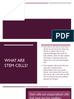 BIOLOGY STEM CELLS