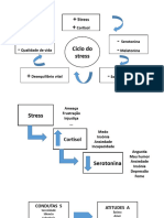 Ciclo Stress