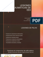 Lesiones Traumáticas Del Eeii