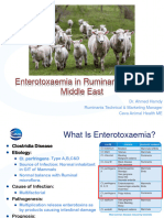 (Coglavax) Enterotoxemia in Ruminants
