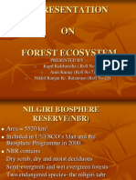 Gp 2 Forest Ecosystem