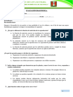 (PDF) Cuadernillo de Evaluación 2do Grado - Ciencia y Tecnología (Con Respuestas)