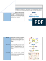 Módulo Formativo Unidad Formativa Unidad de Aprendizaje UA2 Código de La Actividad Enunciado de La Actividad