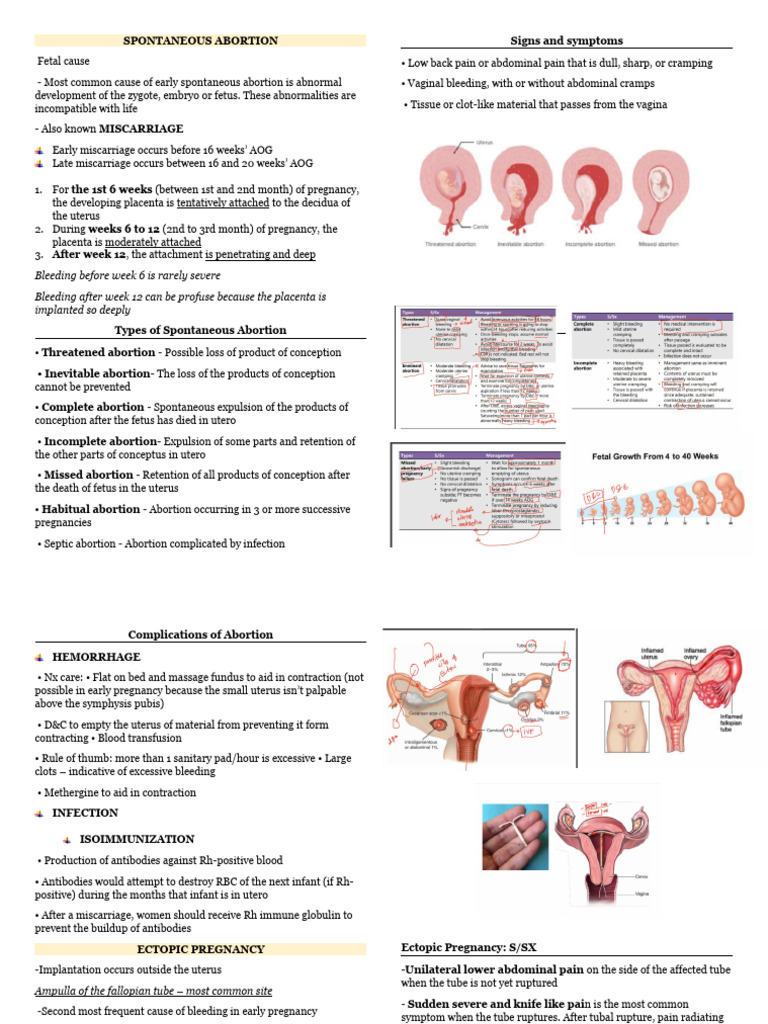 Maternal | PDF | Miscarriage | Uterus
