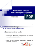 Aula 05- Circulação Sanguínea e Coração