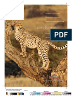 Kenya Cheetah Ad