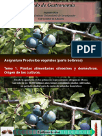 Tema 1 - Alimentos - Silvestres - Cultivados