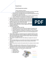 Anatomy RCR1 Respiratory