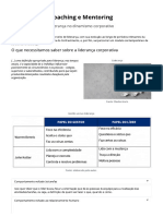 Webaula 1 - Seção 3 - Coaching e Mentoring