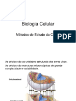 Biologia Celular - 2 - Métodos de Estudo Da Célula 2023