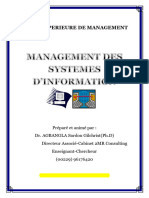 Management Des Si