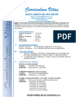 Curriculum-Vitae Rocio Lizbeth Del Rio Freyre