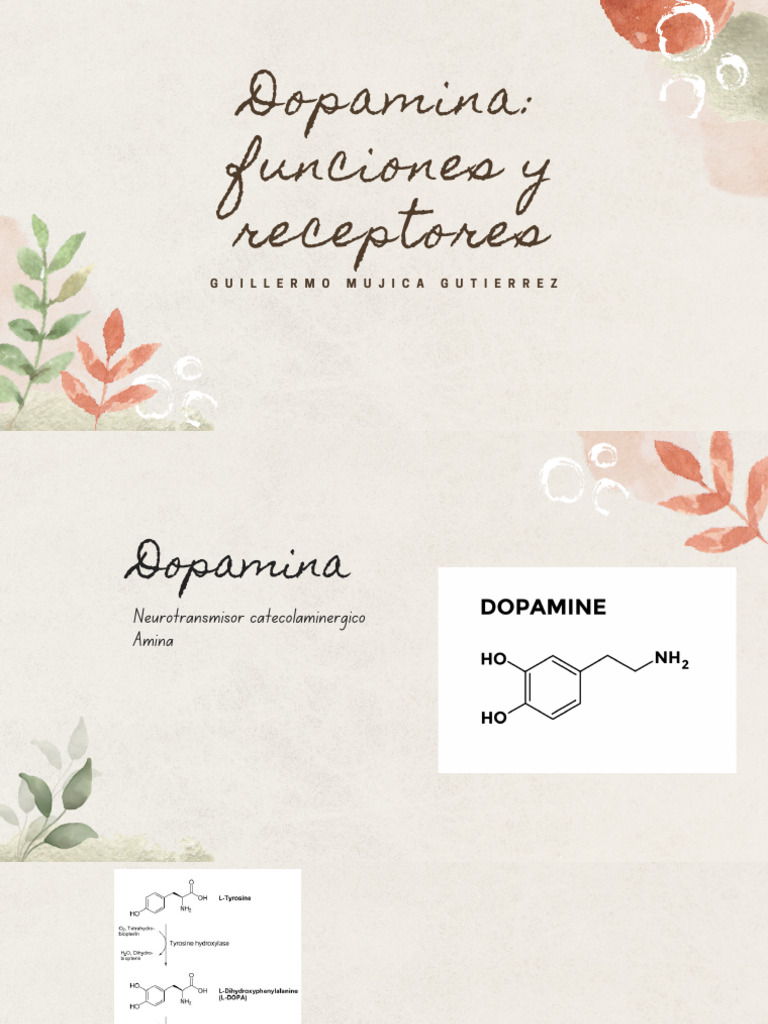 Funciones y Receptores de la Dopamina | PDF | Dopamina | Hipotálamo
