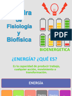 Bioenergetica Guia de Est