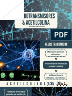 NEUROTRANSMISORES ACETILCOLINA GÁLVEZ ORÉZZOLI