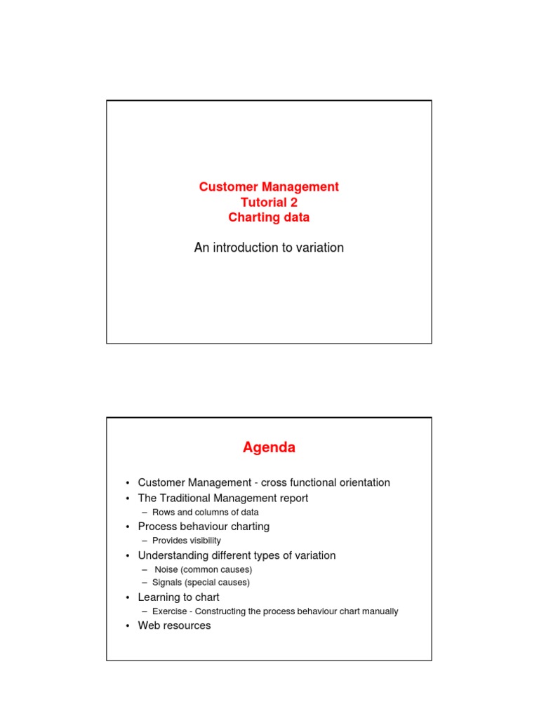 Customer Management and Process Charting | PDF | Customer Relationship ...