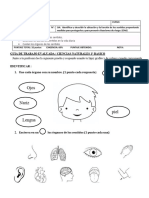 Guia Evaluada 1° basico CS NATURALES  04.04