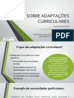 Resumo Basico Sobre Adaptacoes Curriculares