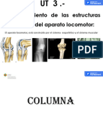 Tema 3 Columna