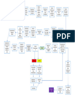 Importação Procedimento