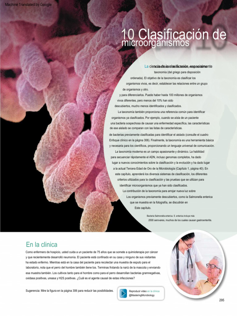 Bacteria Intro | PDF | Las bacterias | Archaea