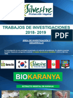 Investigación y Desarrollo Silvestre, 2018-2019