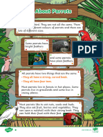 All About Parrots Differentiated Reading Comprehension Activity