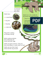 All About Sloths Differentiated Reading Comprehension Activity