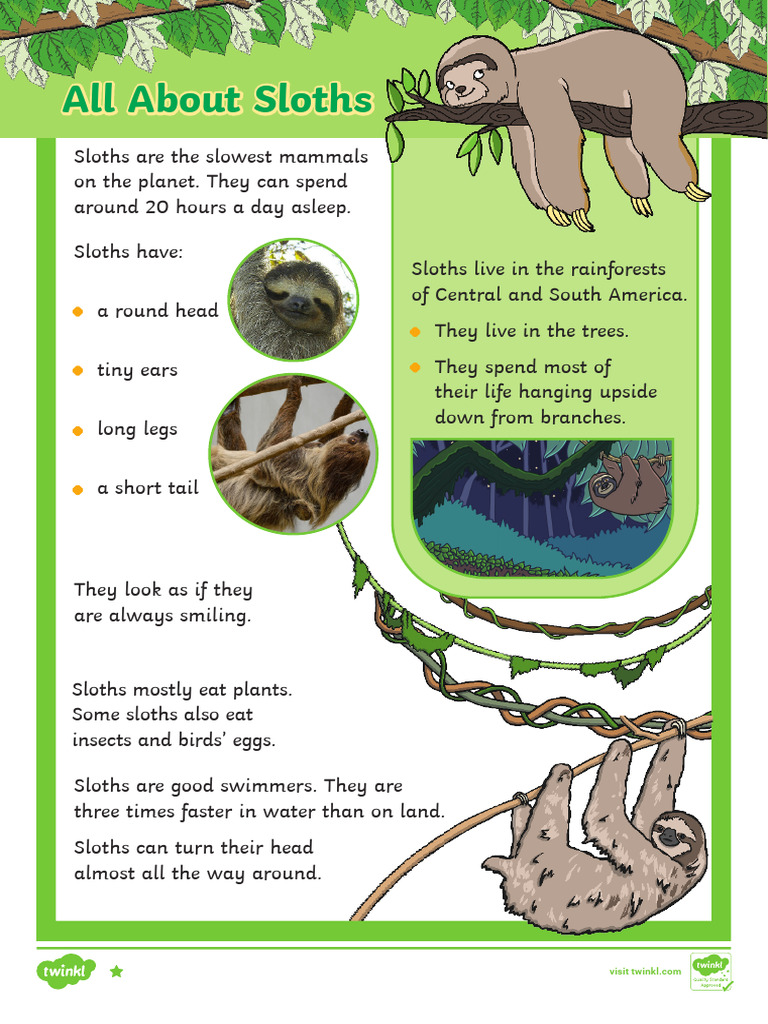 Sloth Life Cycle and Facts for Kids | PDF | Zoology