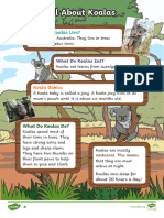 All About Koalas Differentiated Reading Comprehension Activity