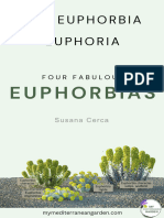 Euphorbias