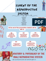 Male Reproductive System