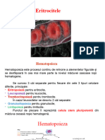2 - Eritrocite