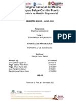 Portafolio de Diseño Organizacional1